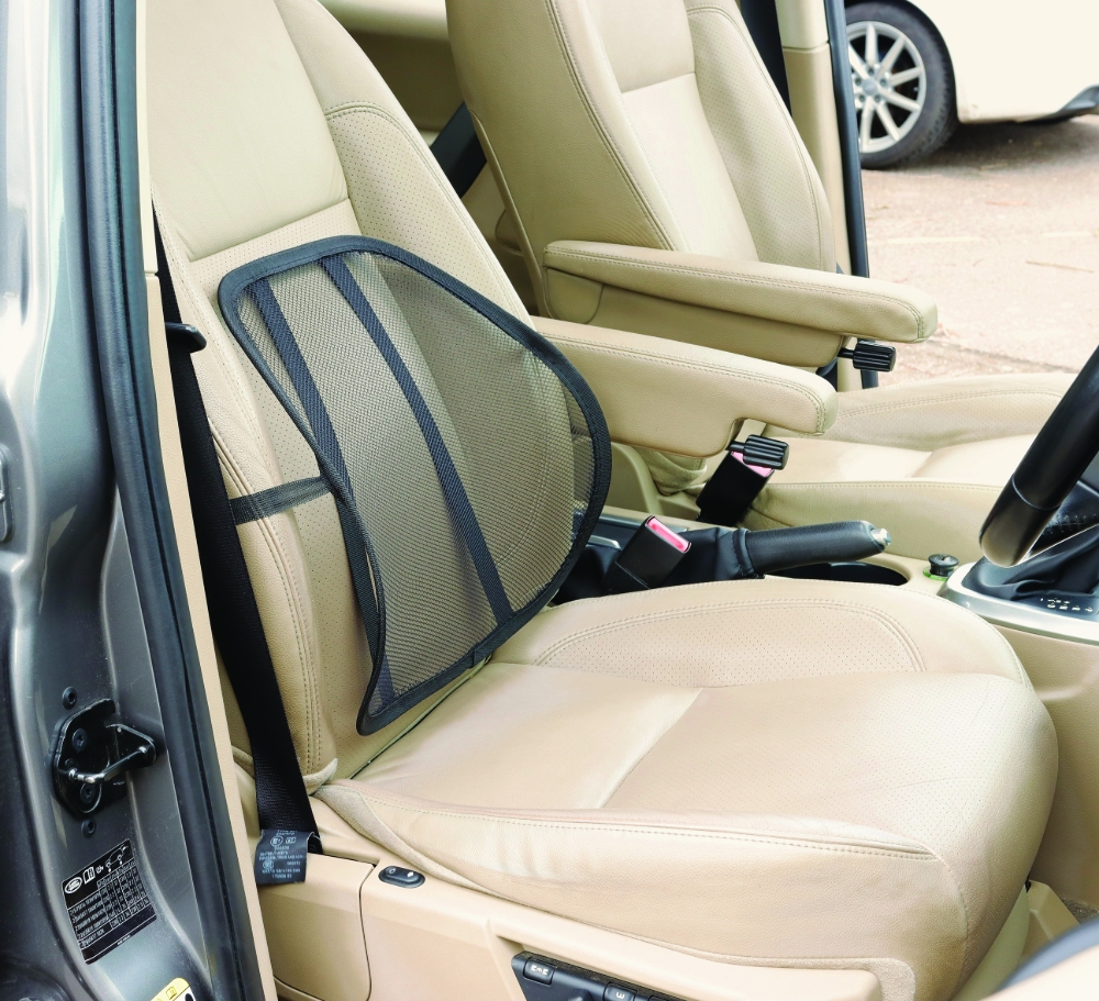 mesh back support for car